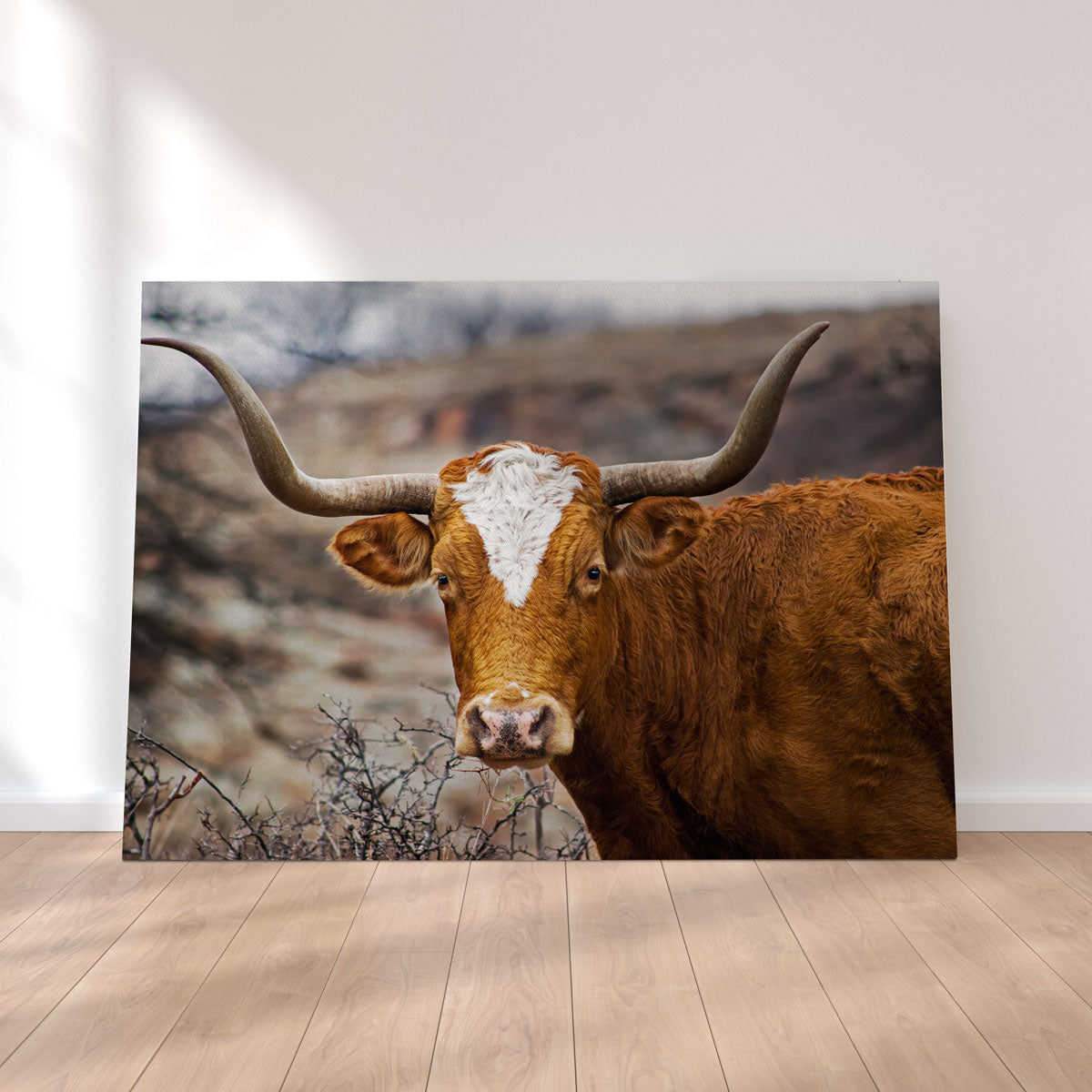 Texas Longhorn Wall Art