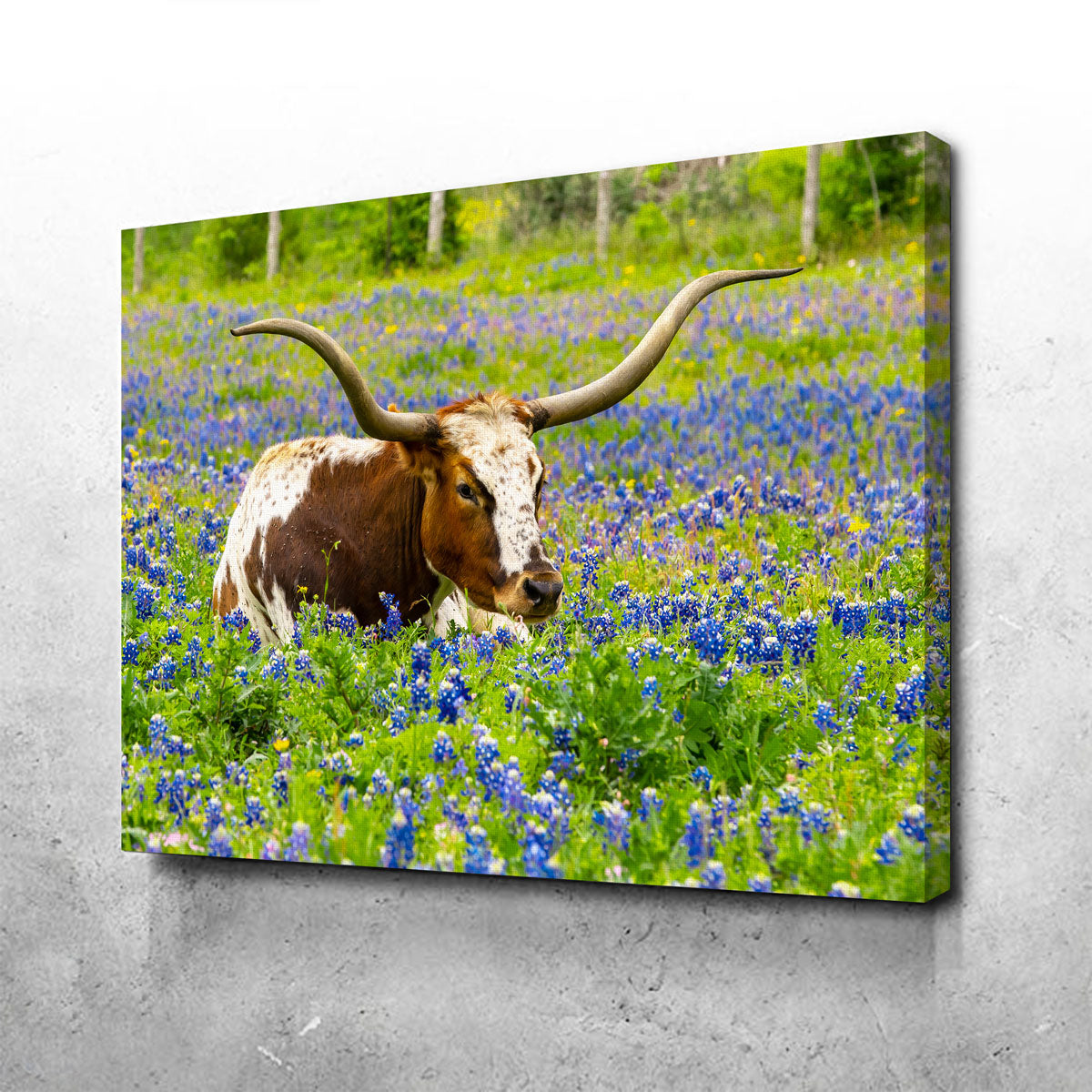 Texas Longhorn Bull Wall Art