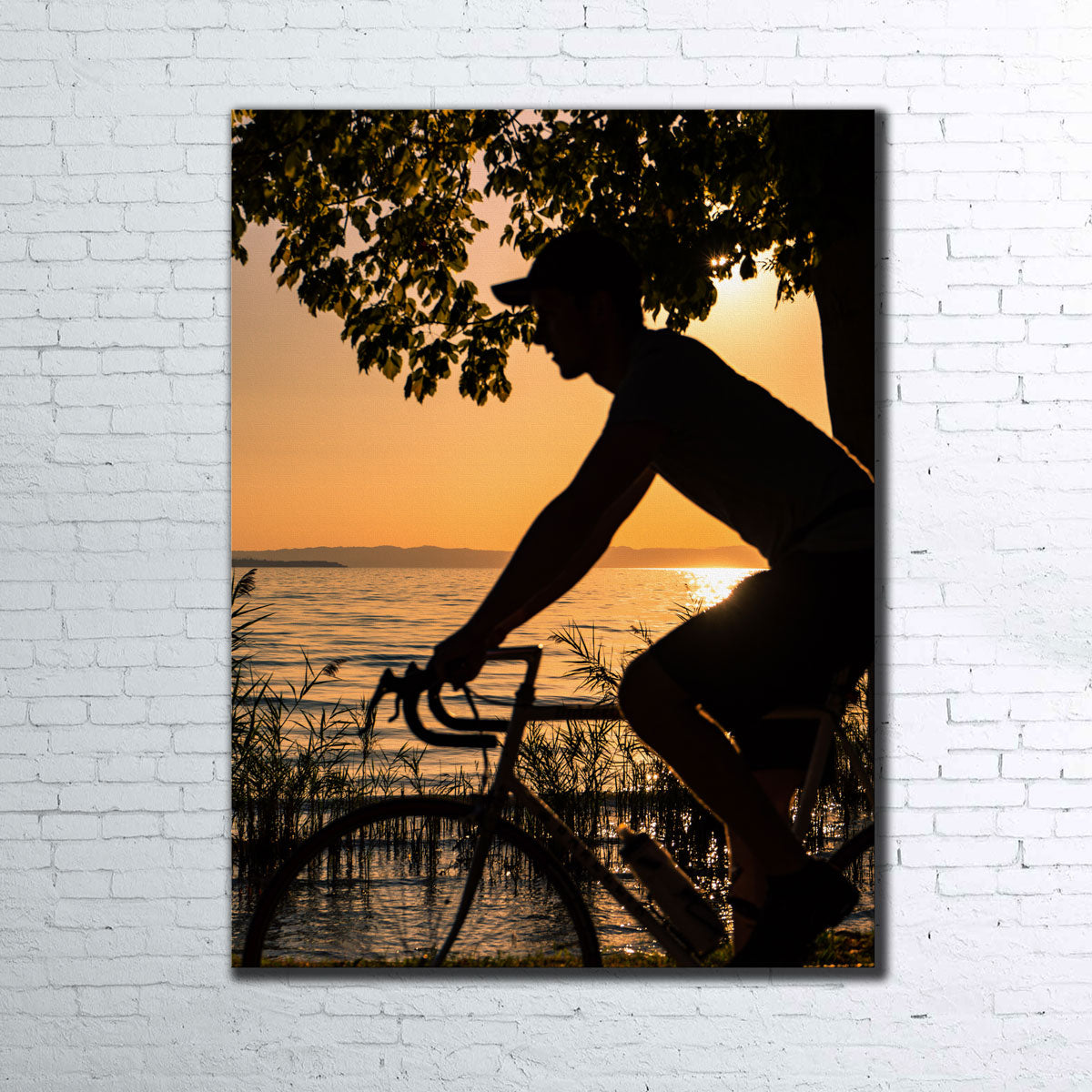 The Biker