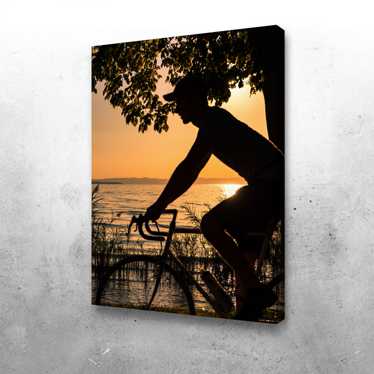 The Biker