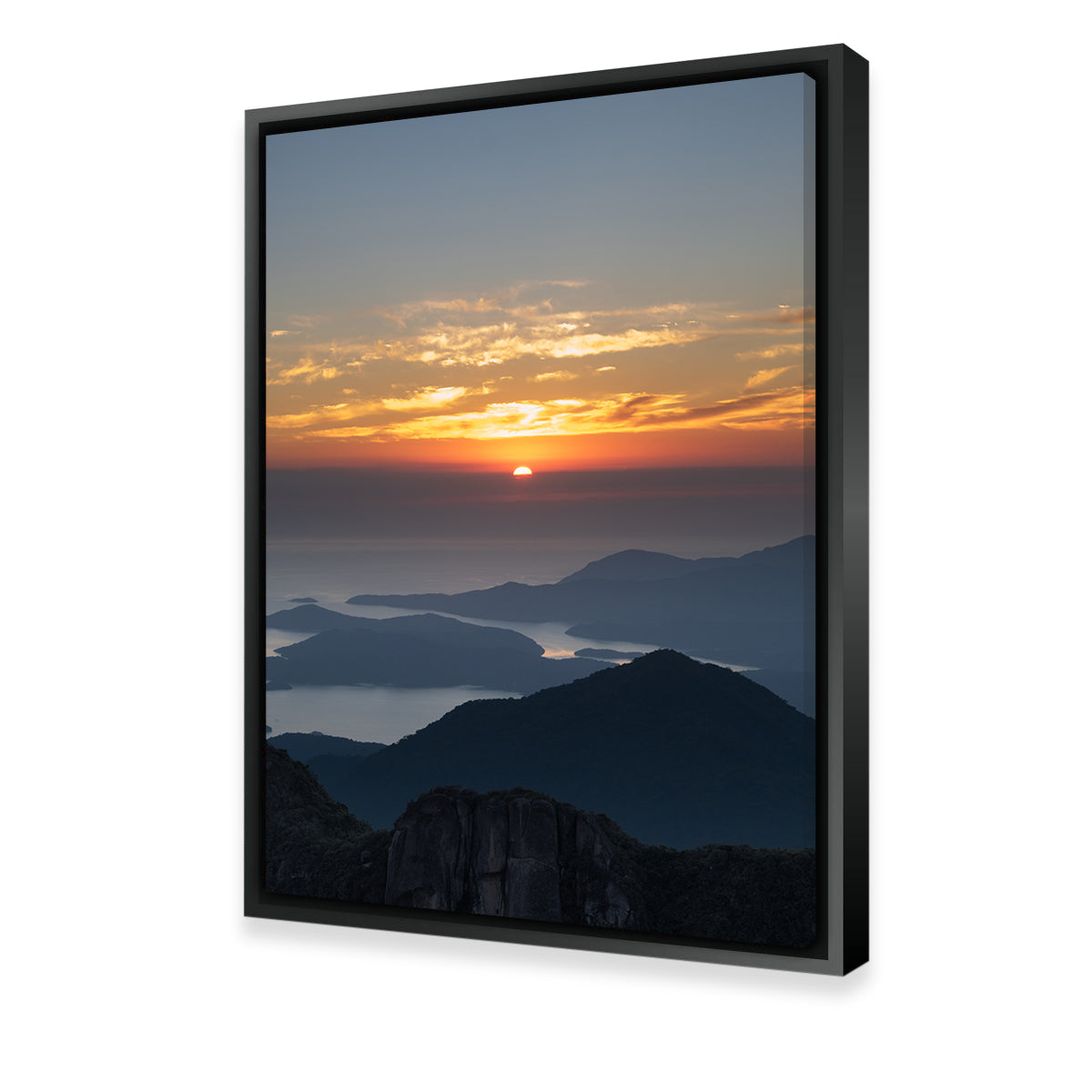 The Circle Of Life Wall Art