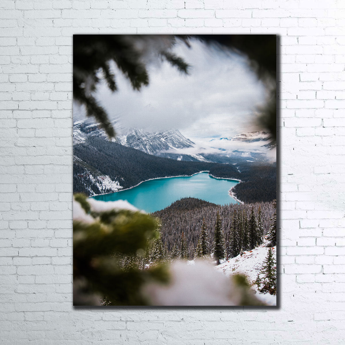 Through the Trees Wall Art