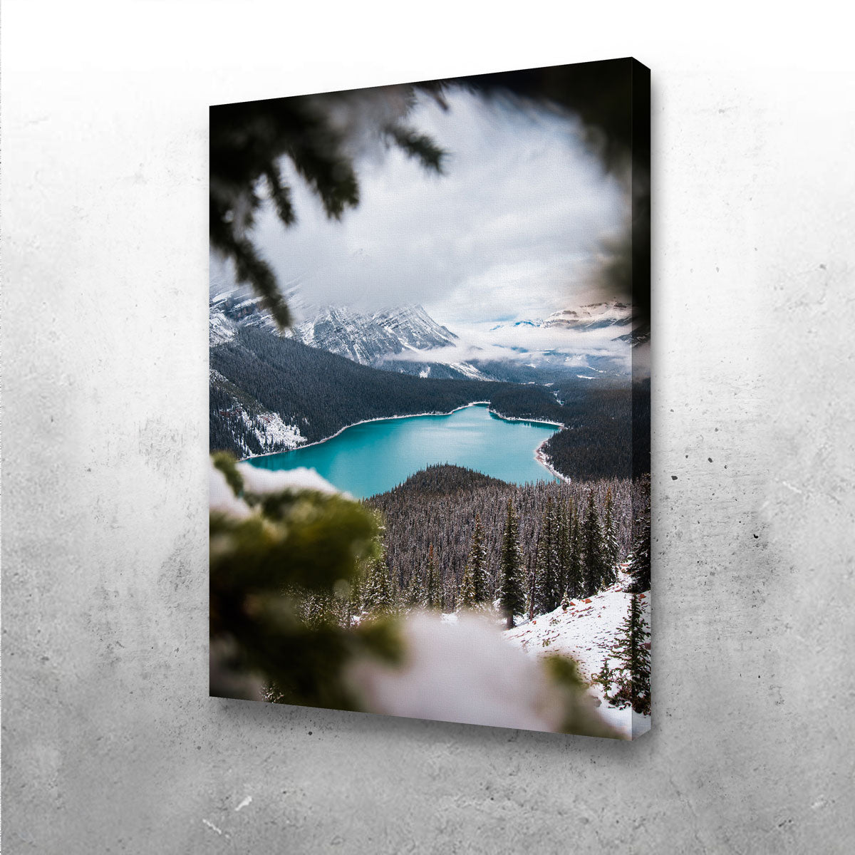 Through the Trees Wall Art