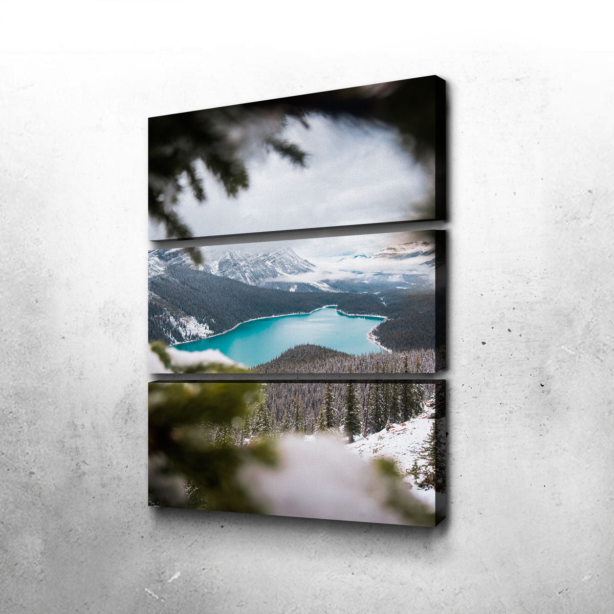 Through the Trees Wall Art