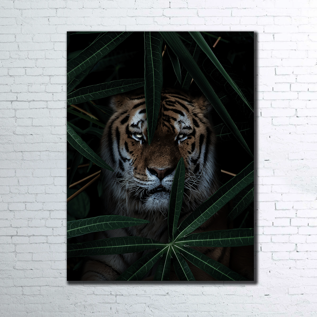 Jungle Cat Wall Art