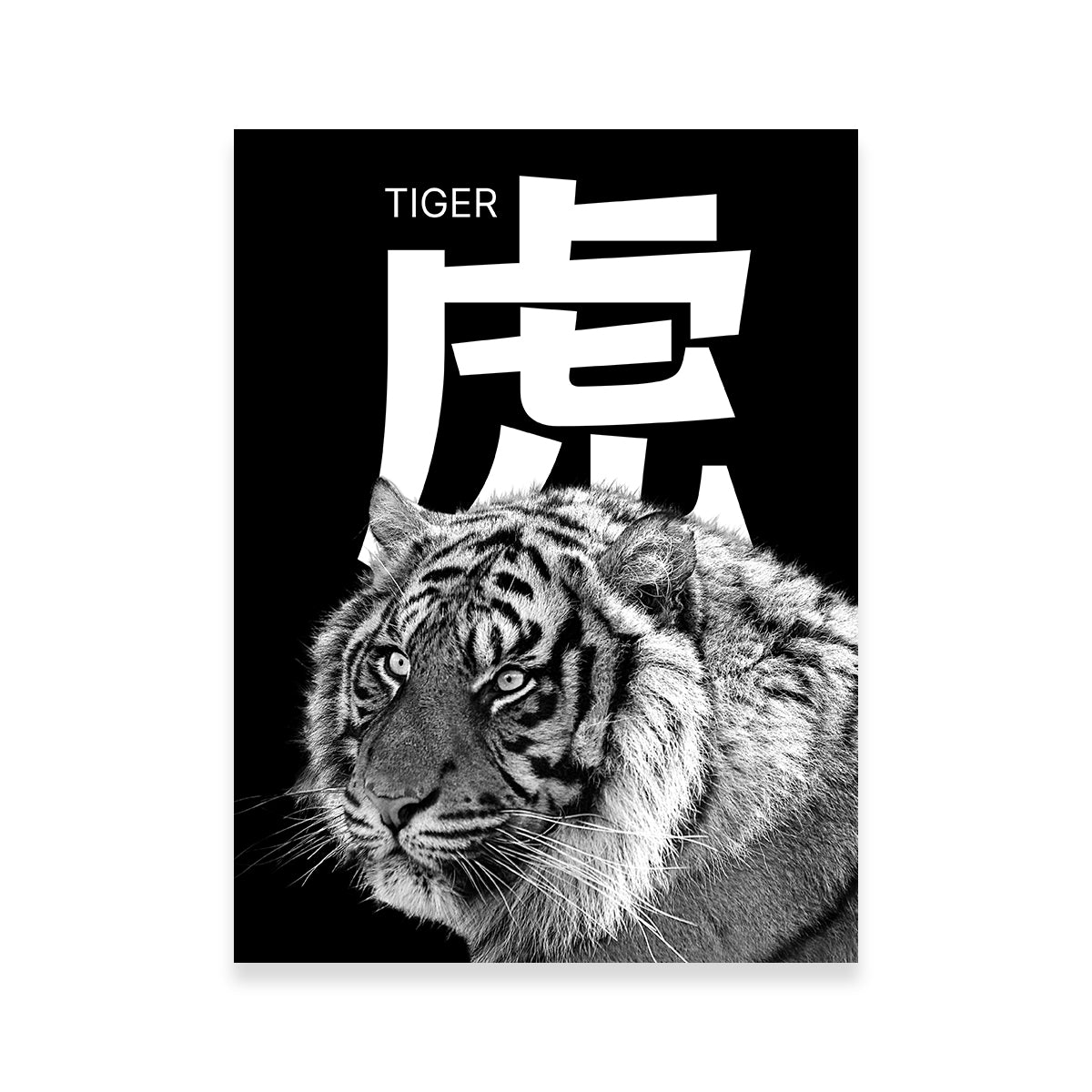 Tiger Head Wall Art