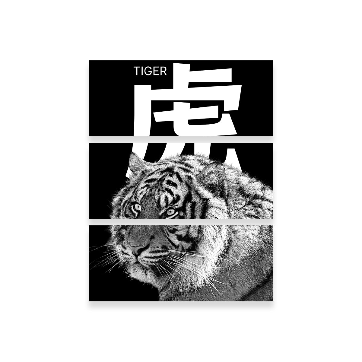 Tiger Head Wall Art