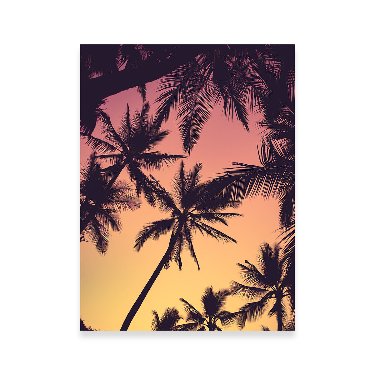 Tropical Palms Wall Art
