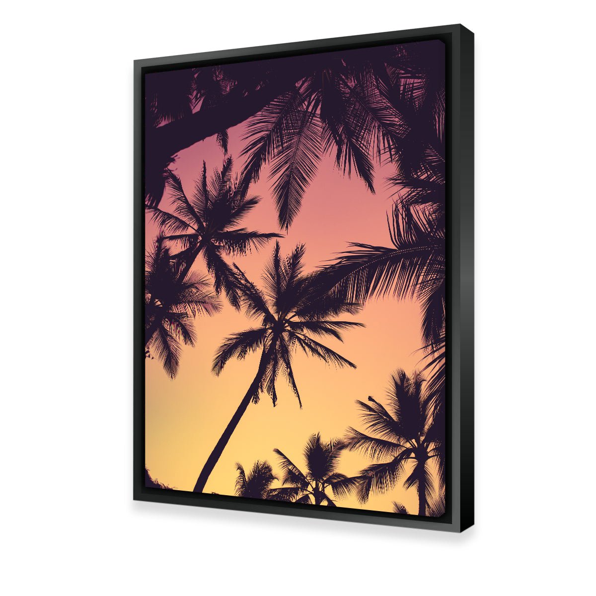 Tropical Palms Wall Art