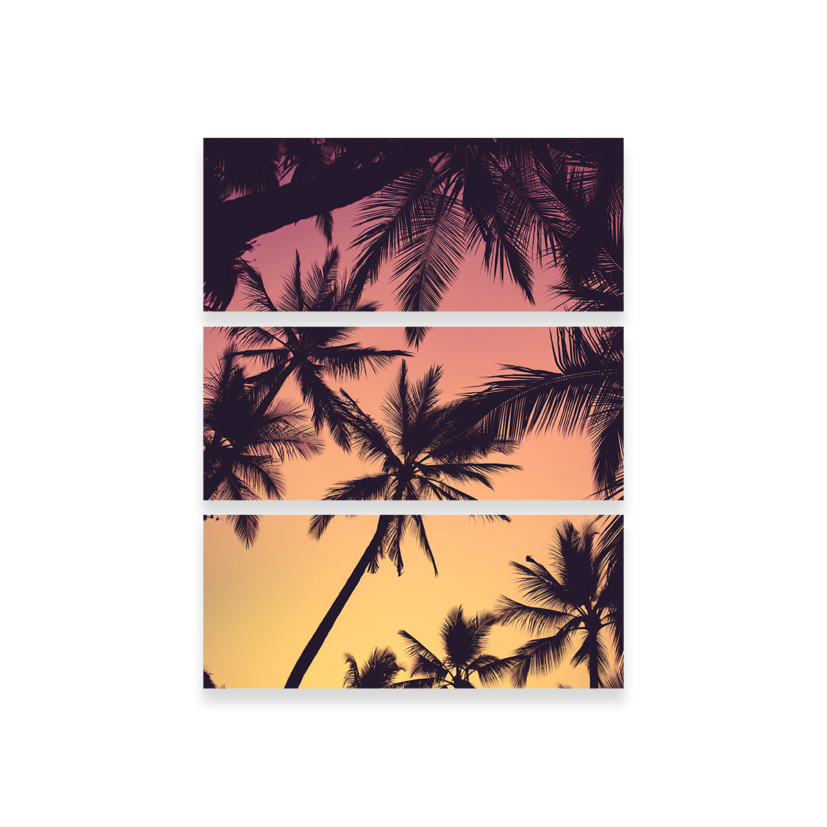 Tropical Palms Wall Art