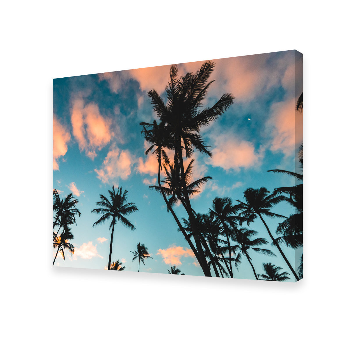 Tropical Sunrise Wall Art