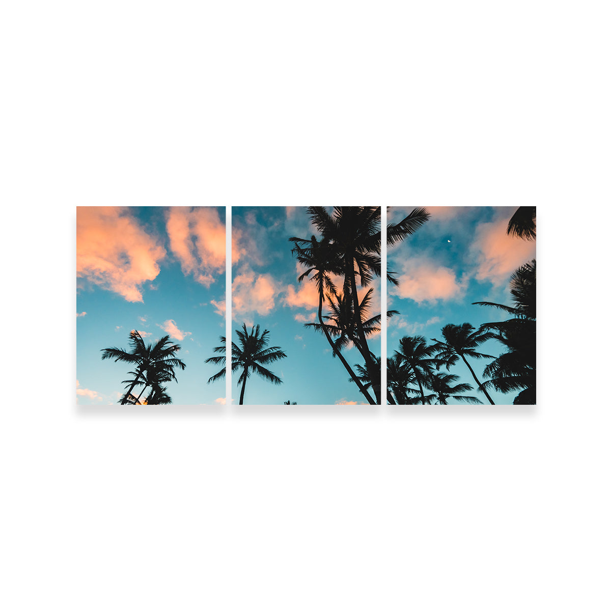 Tropical Sunrise Wall Art