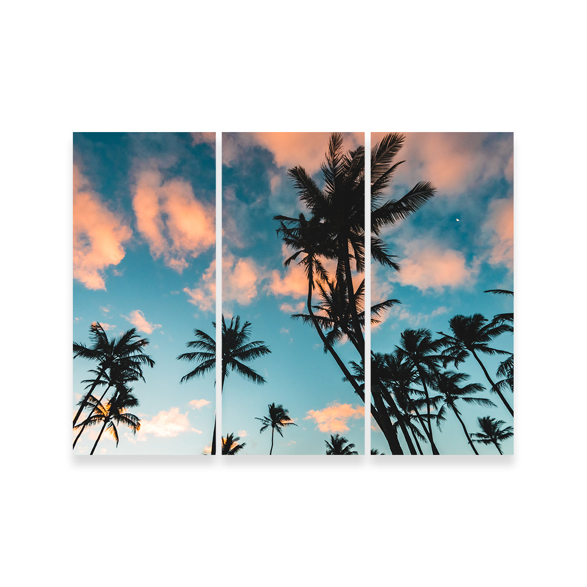 Tropical Sunrise Wall Art