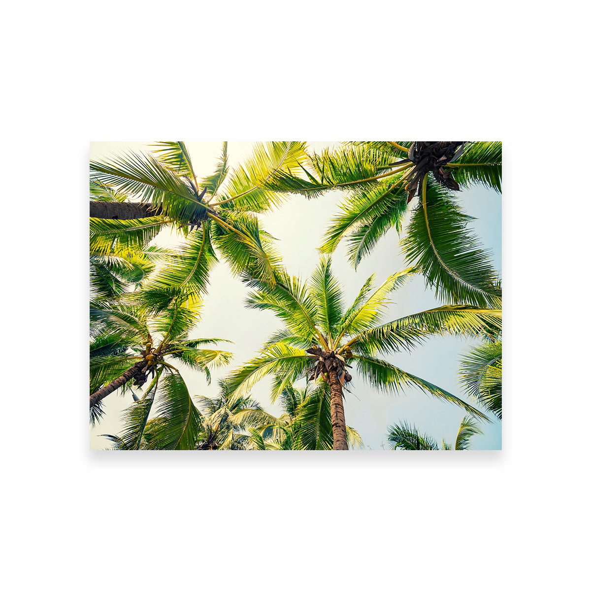 Tropical Vibes Wall Art