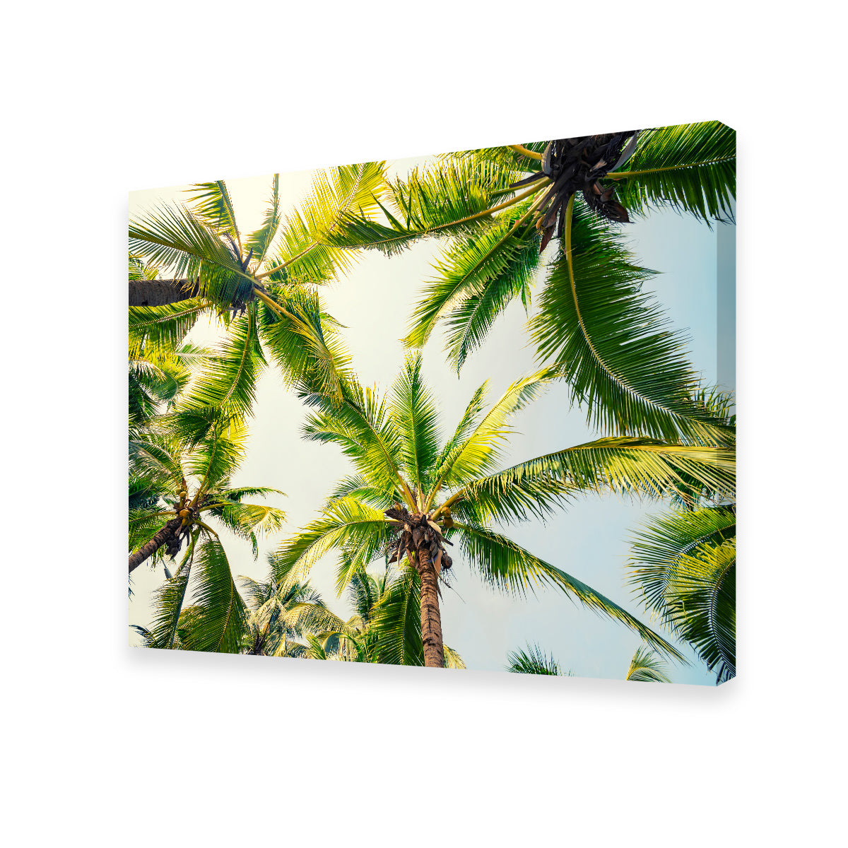 Tropical Vibes Wall Art