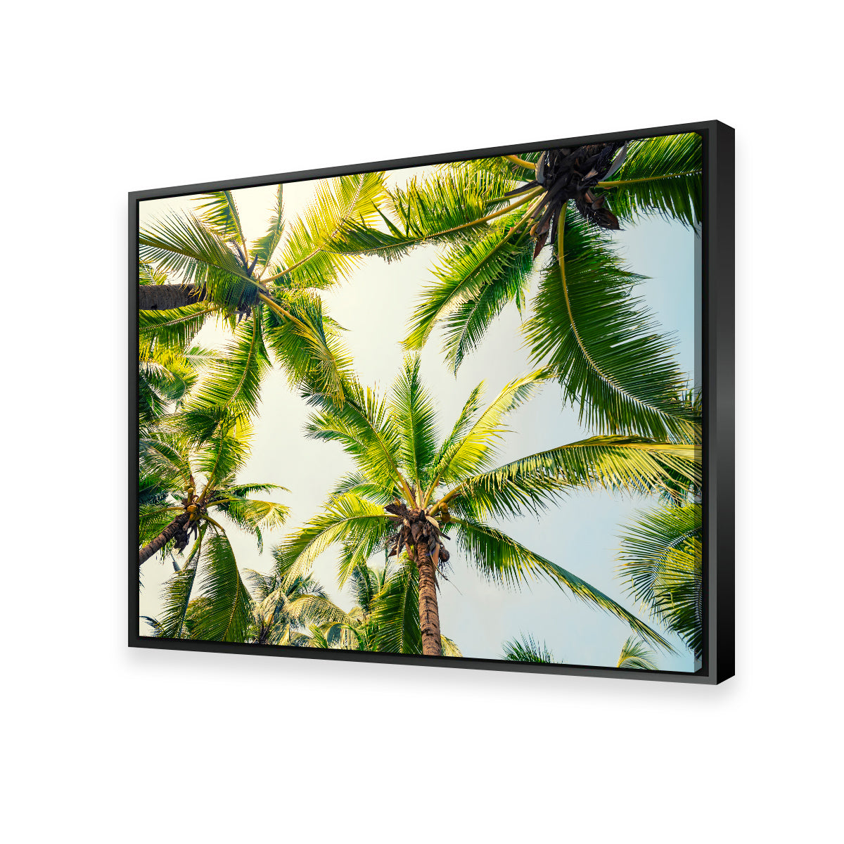Tropical Vibes Wall Art