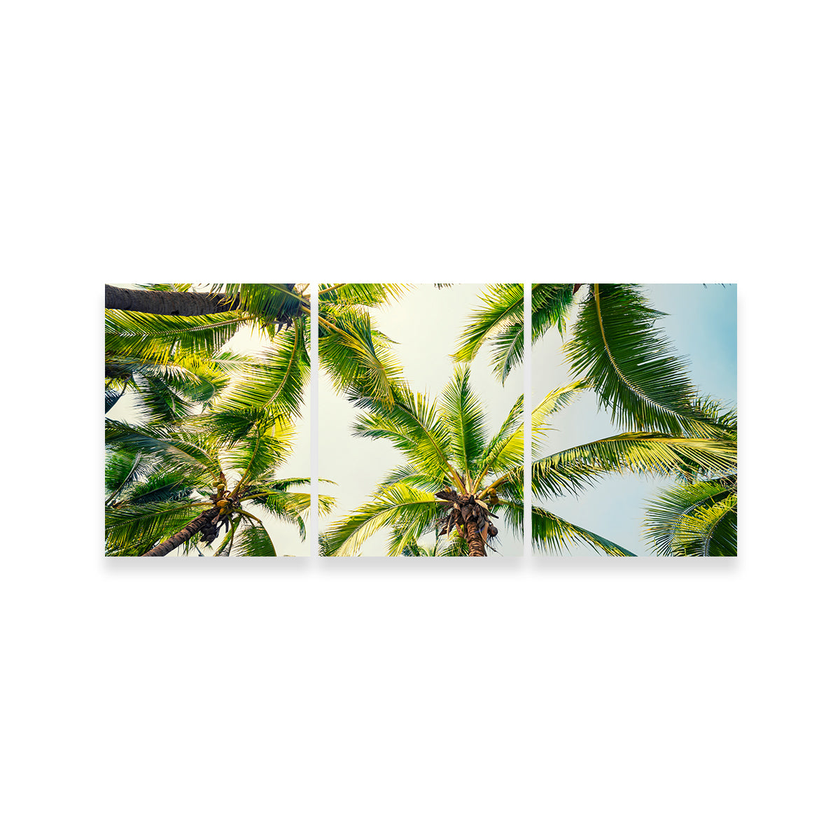 Tropical Vibes Wall Art