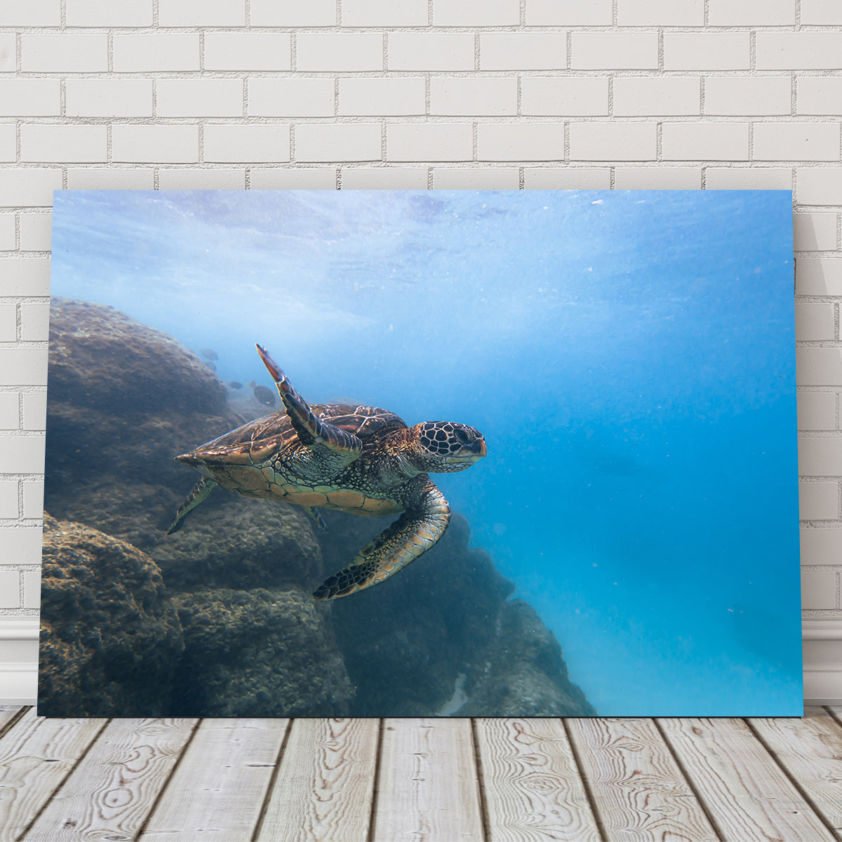 Turtle Wave Wall Art