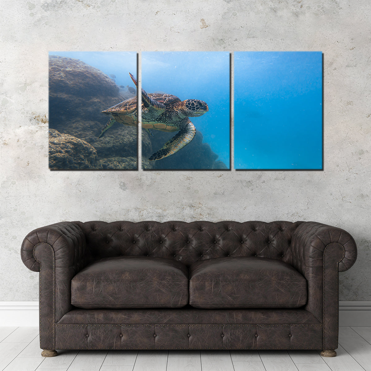 Turtle Wave Wall Art