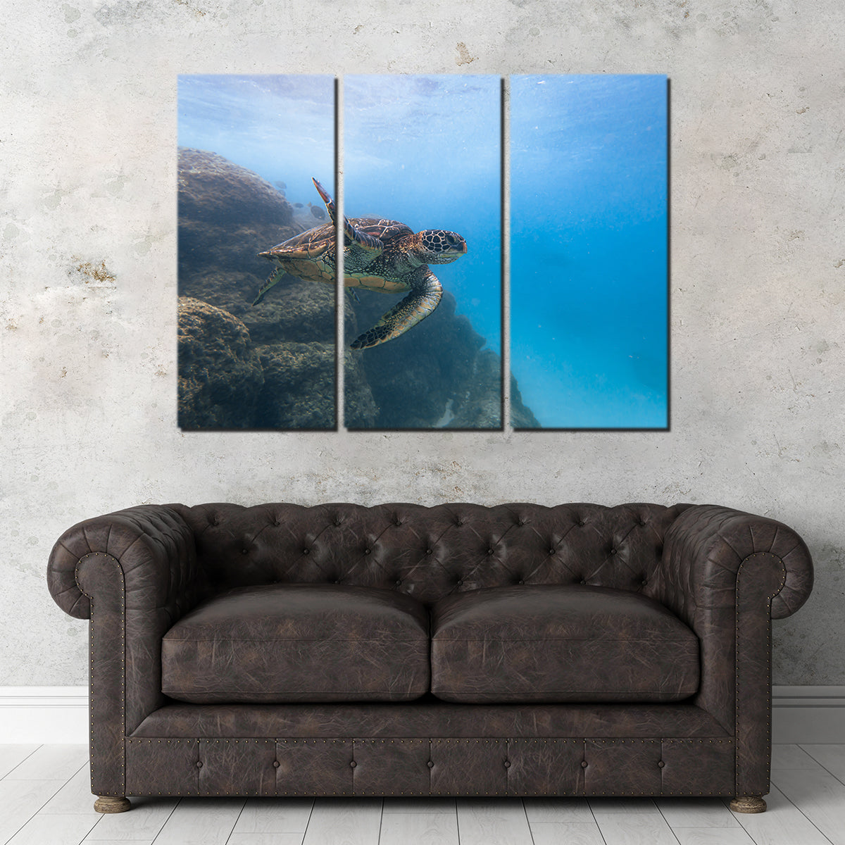 Turtle Wave Wall Art