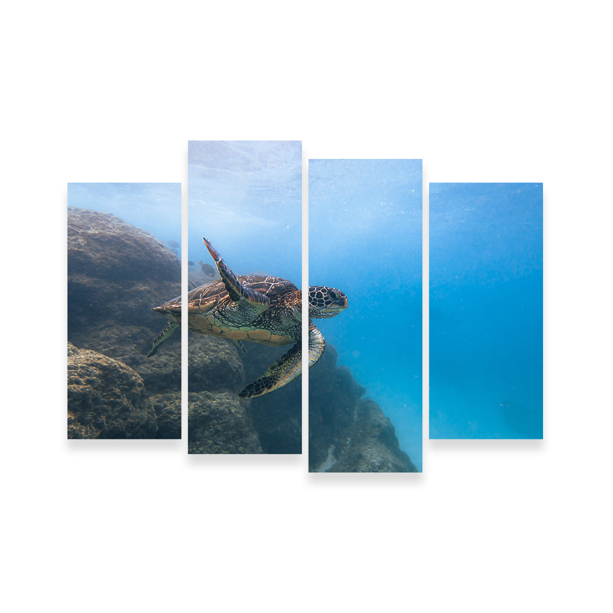 Turtle Wave Wall Art