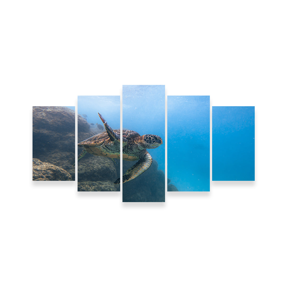 Turtle Wave Wall Art