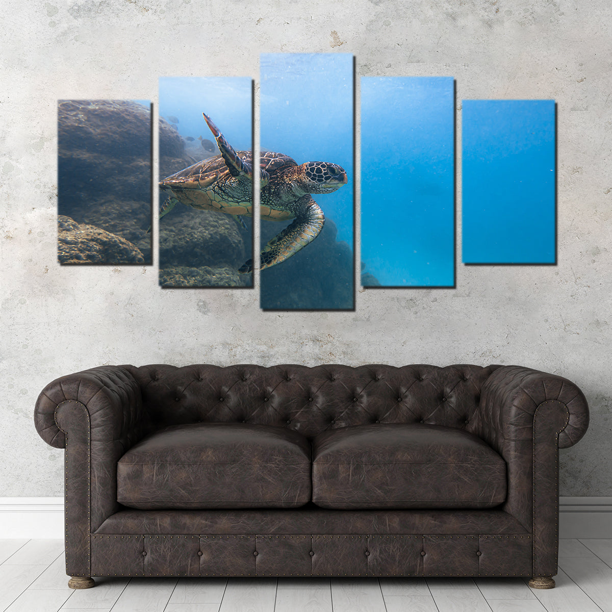 Turtle Wave Wall Art