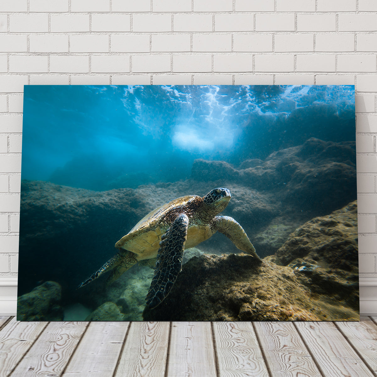 Under the Sea Wall Art
