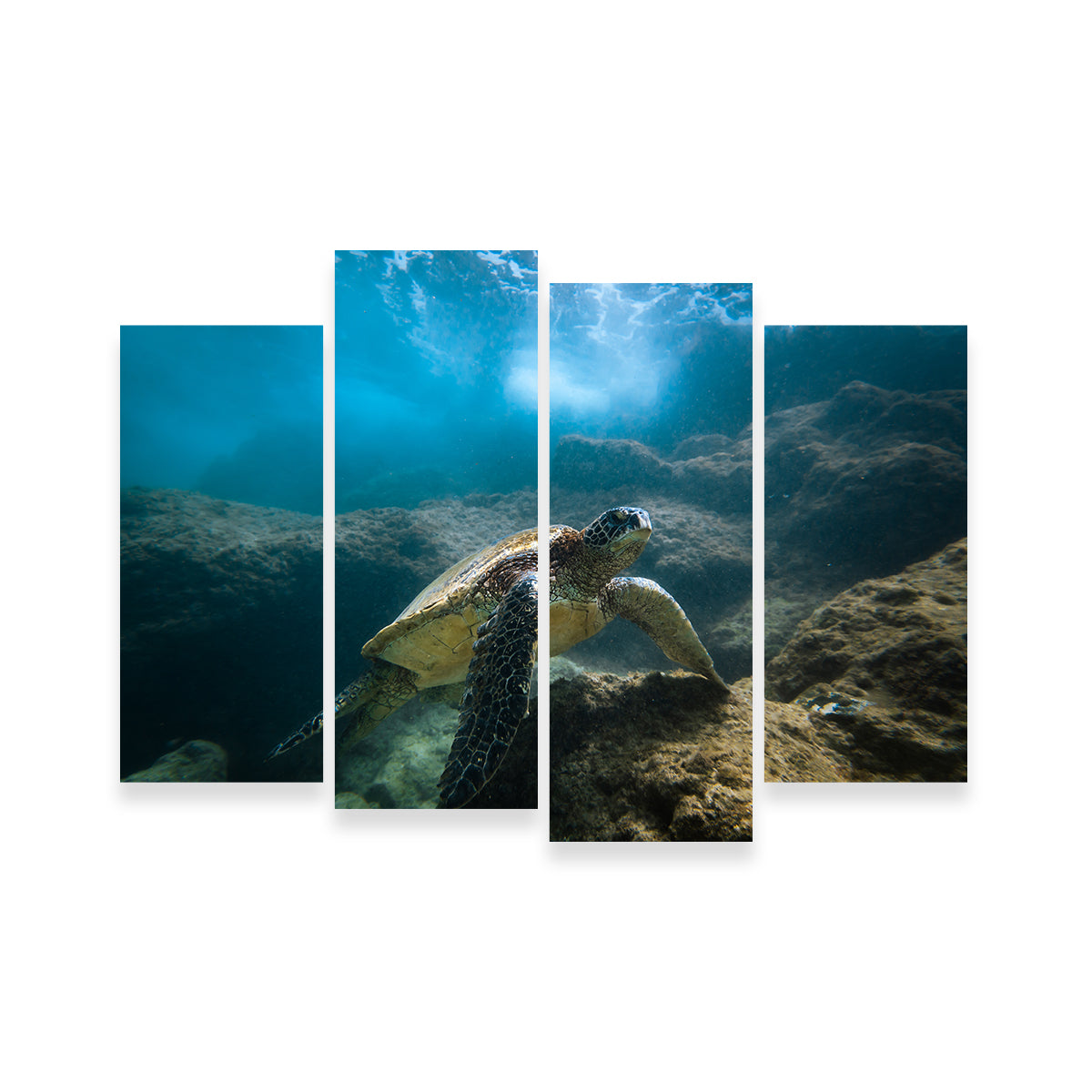 Under the Sea Wall Art