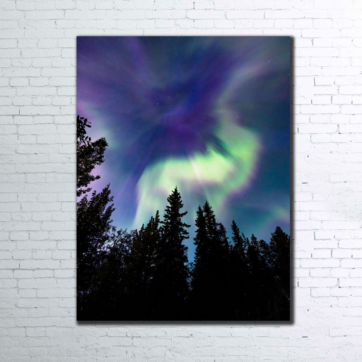 Up in the Sky Wall Art