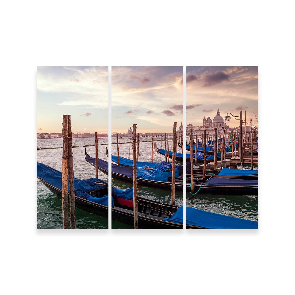 Venice Gondolas & Santa Maria Della Salute
