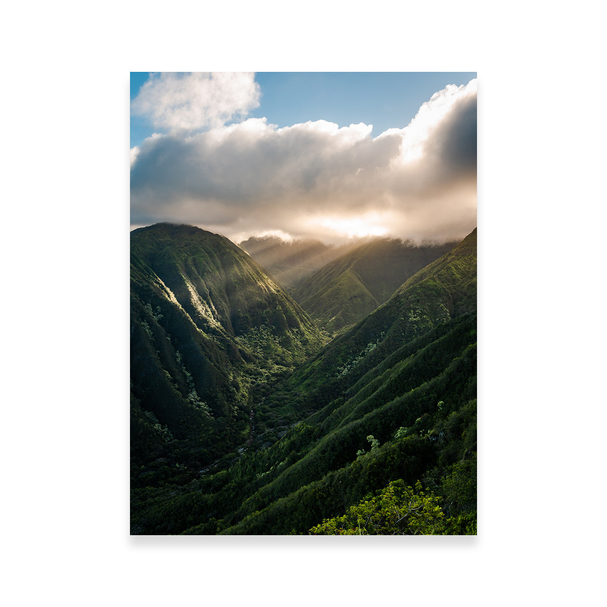 Valley of Light Wall Art