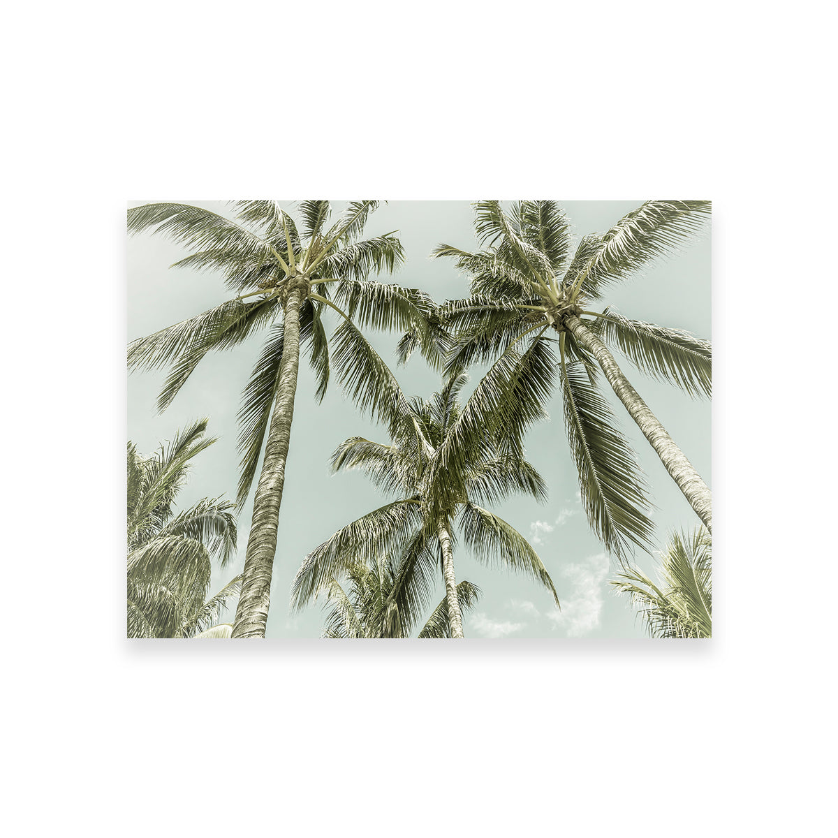 Vintage Palm Trees Wall Art
