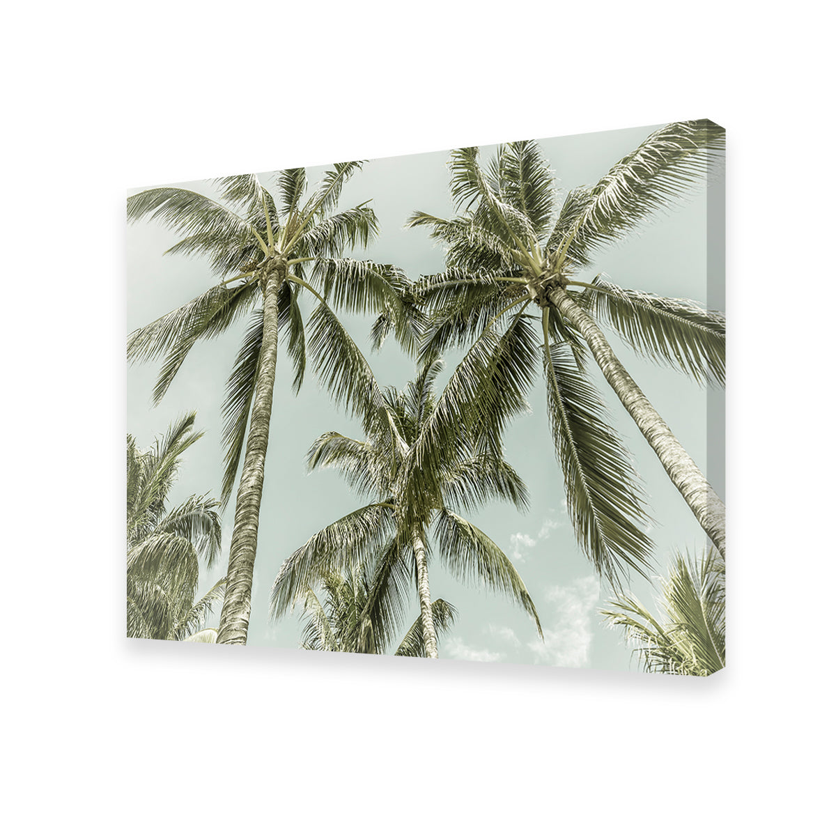 Vintage Palm Trees Wall Art