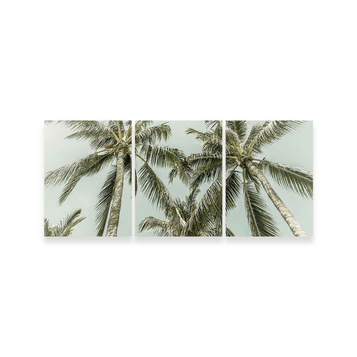 Vintage Palm Trees Wall Art