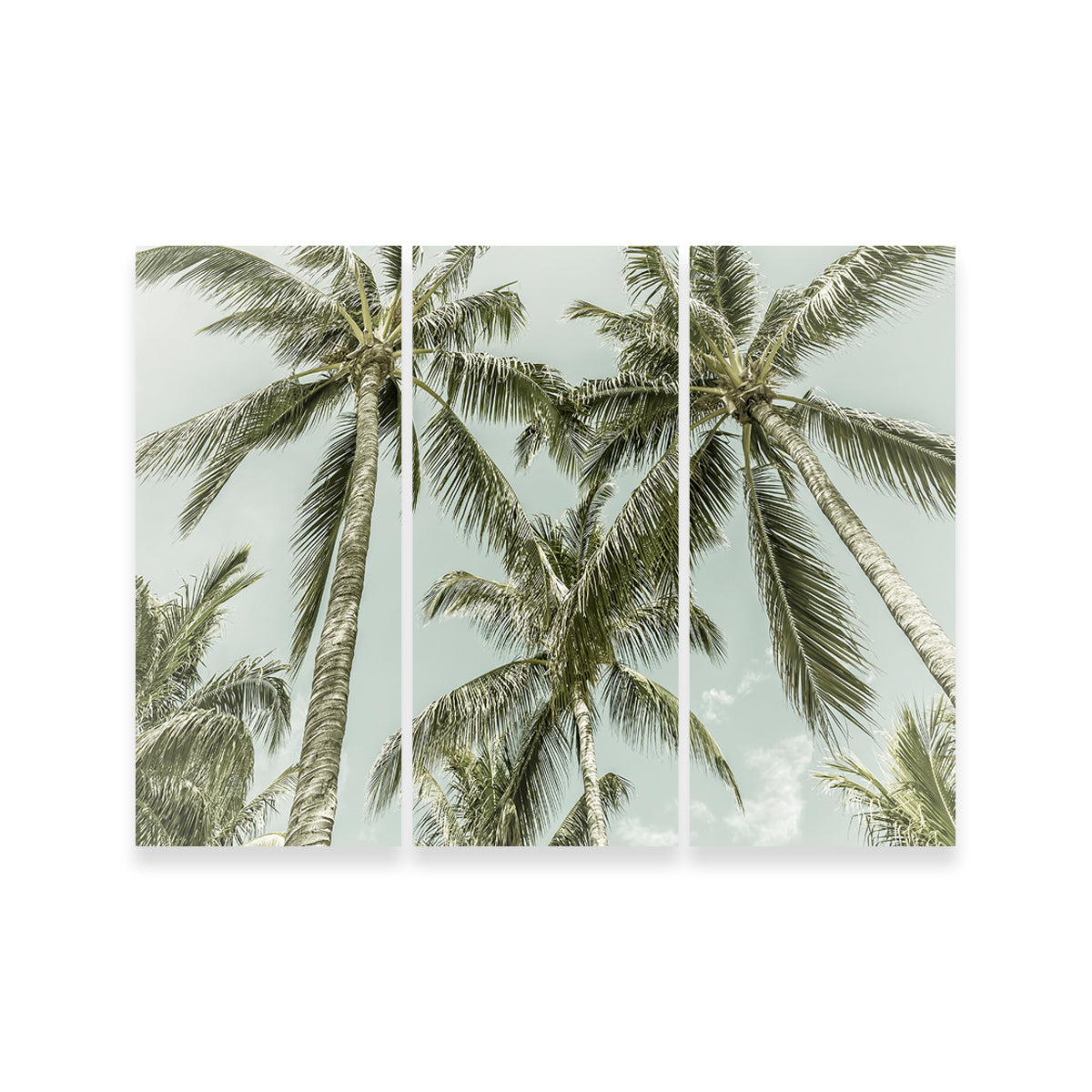 Vintage Palm Trees Wall Art