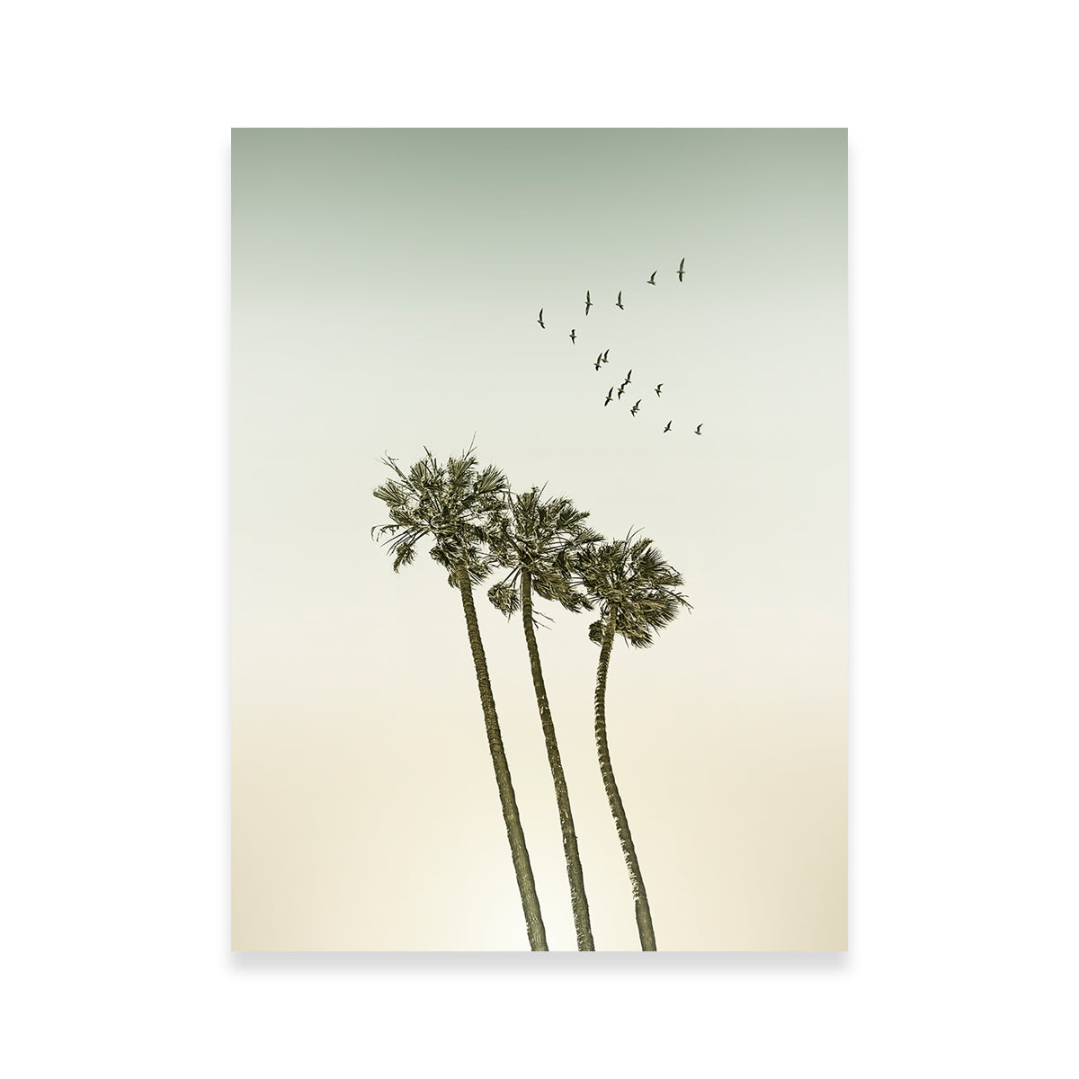 Vintage Palm Trees & Sunset Wall Art