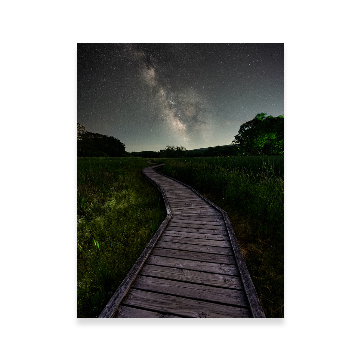Walk Amongst the Stars