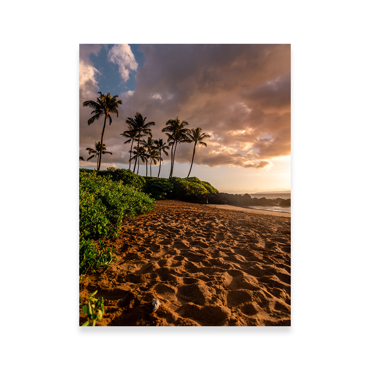 Warm Beach Wall Art