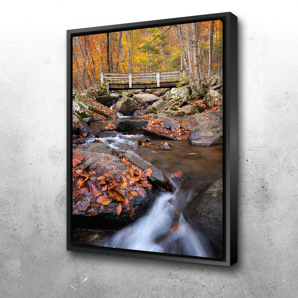 Water Under the Bridge Wall Art