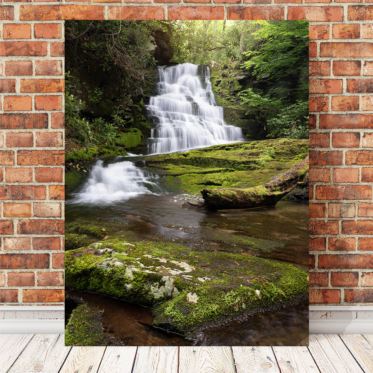 Whiplash Falls Wall Art