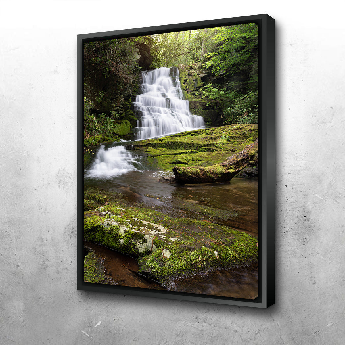 Whiplash Falls Wall Art
