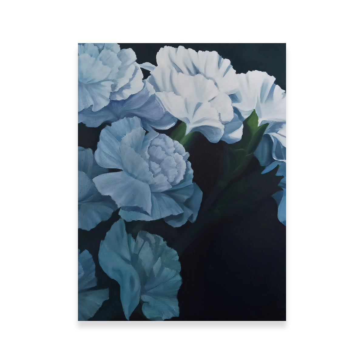 White Carnations Wall Art