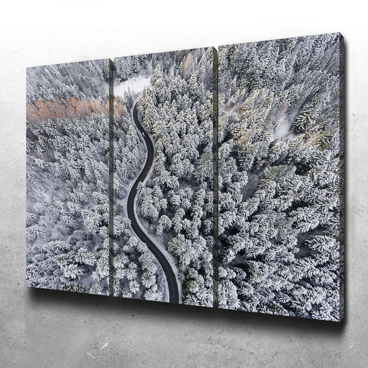 Winding Winter Wall Art