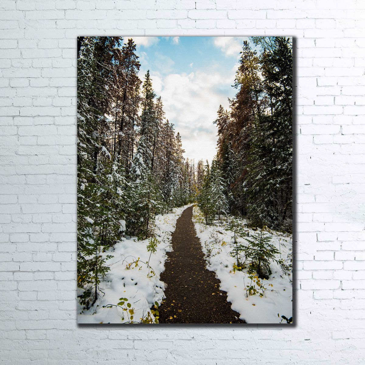 Winter Path Wall Art