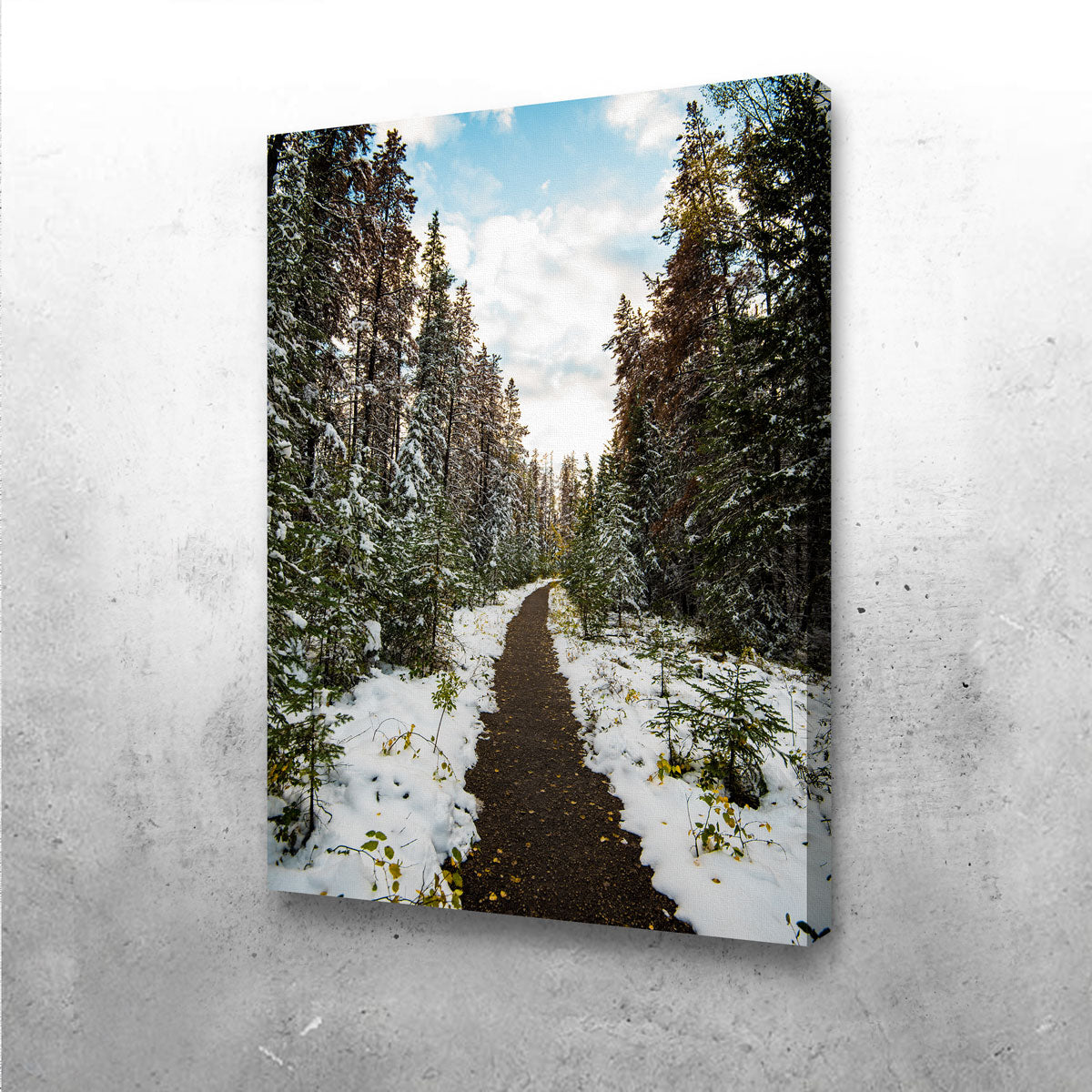 Winter Path Wall Art