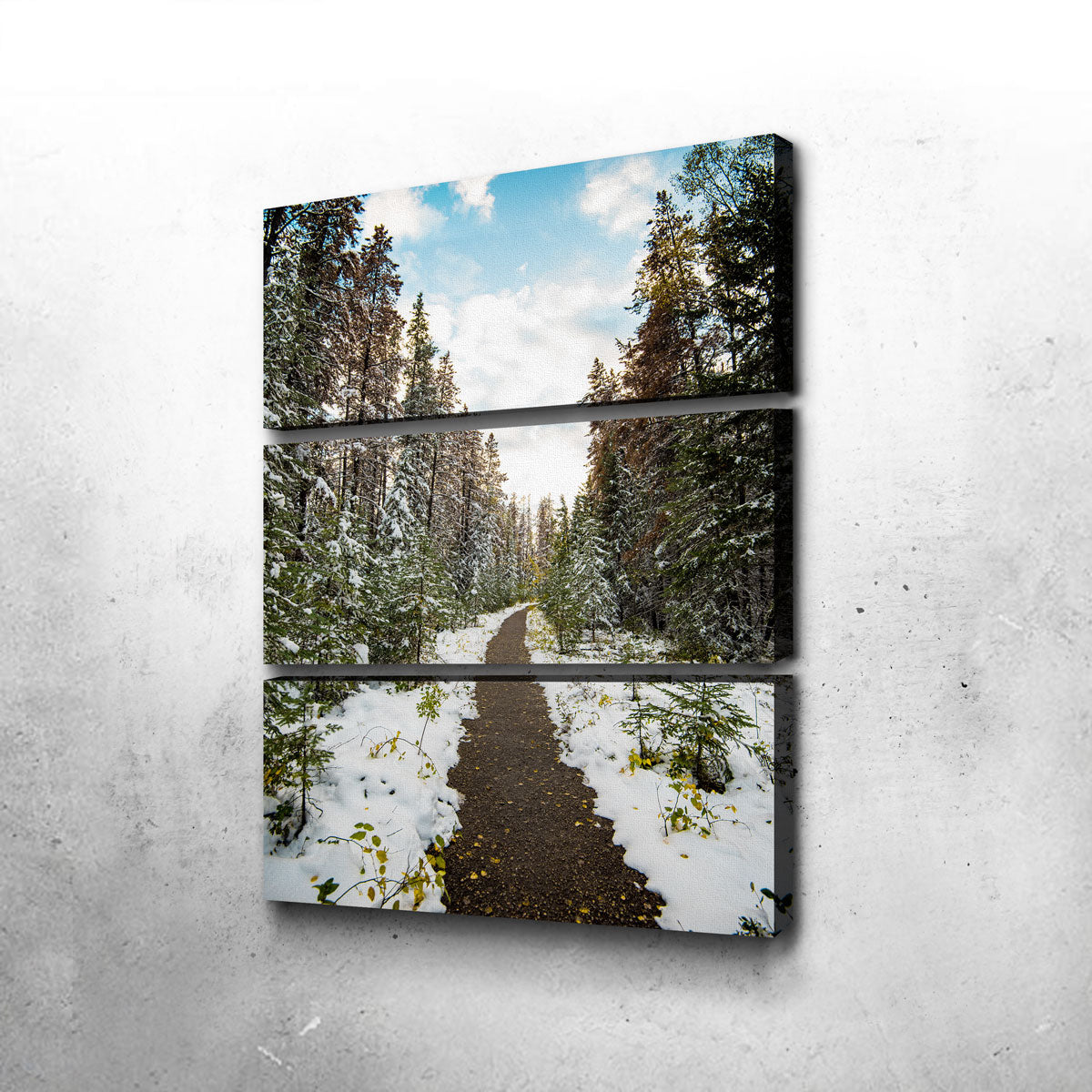 Winter Path Wall Art