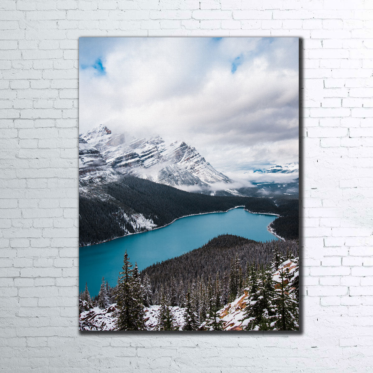 Wintry Peyto Lake Wall Art