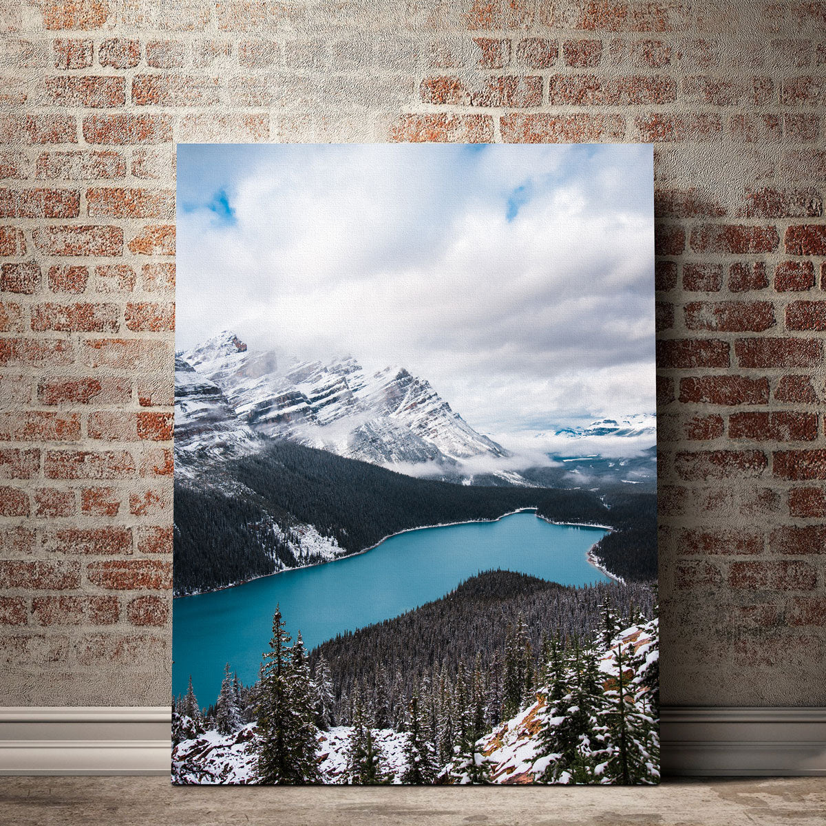 Wintry Peyto Lake Wall Art