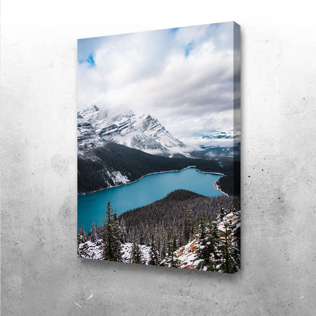 Wintry Peyto Lake